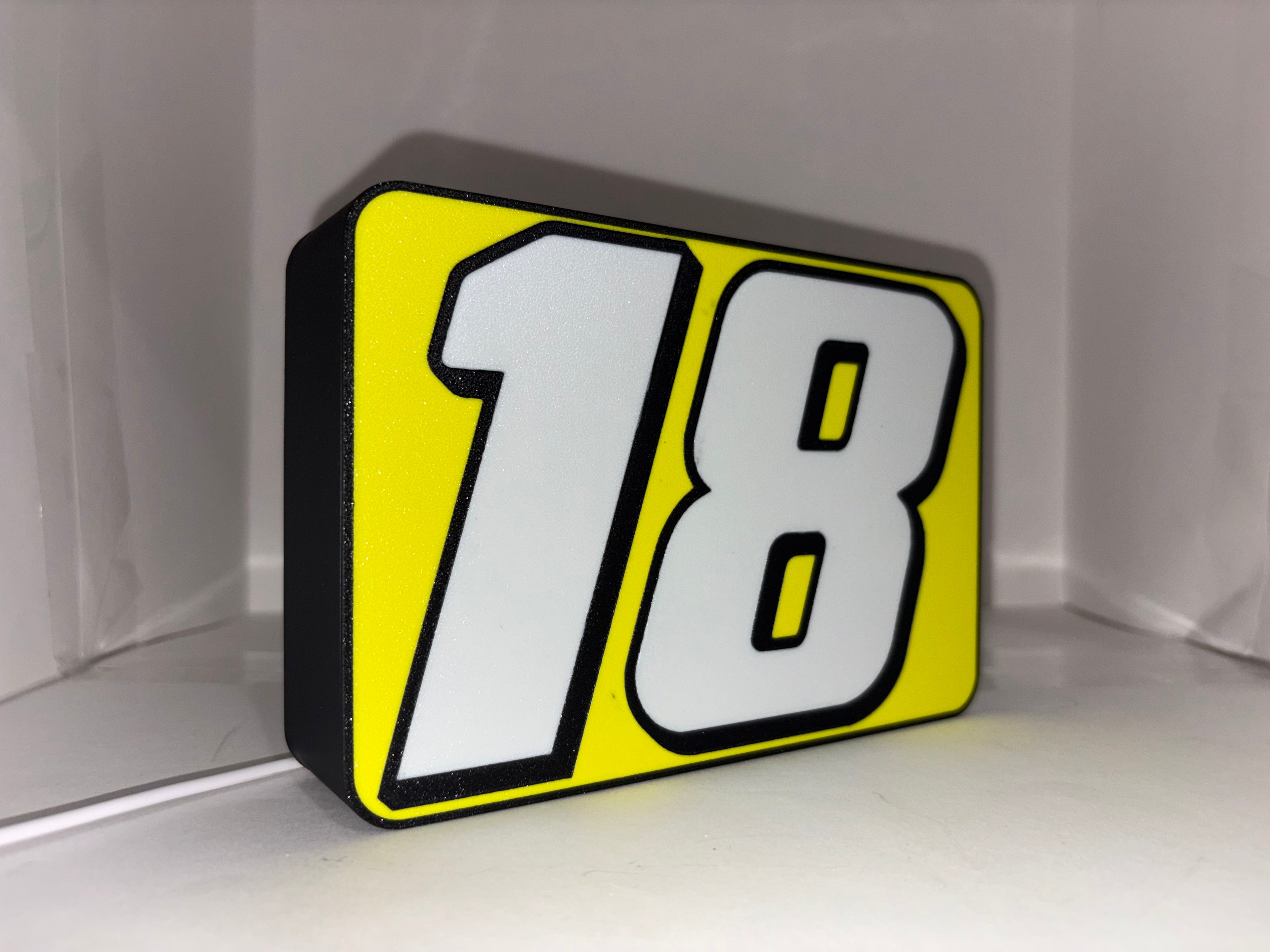 Kyle Busch #18 Inspired Light Box