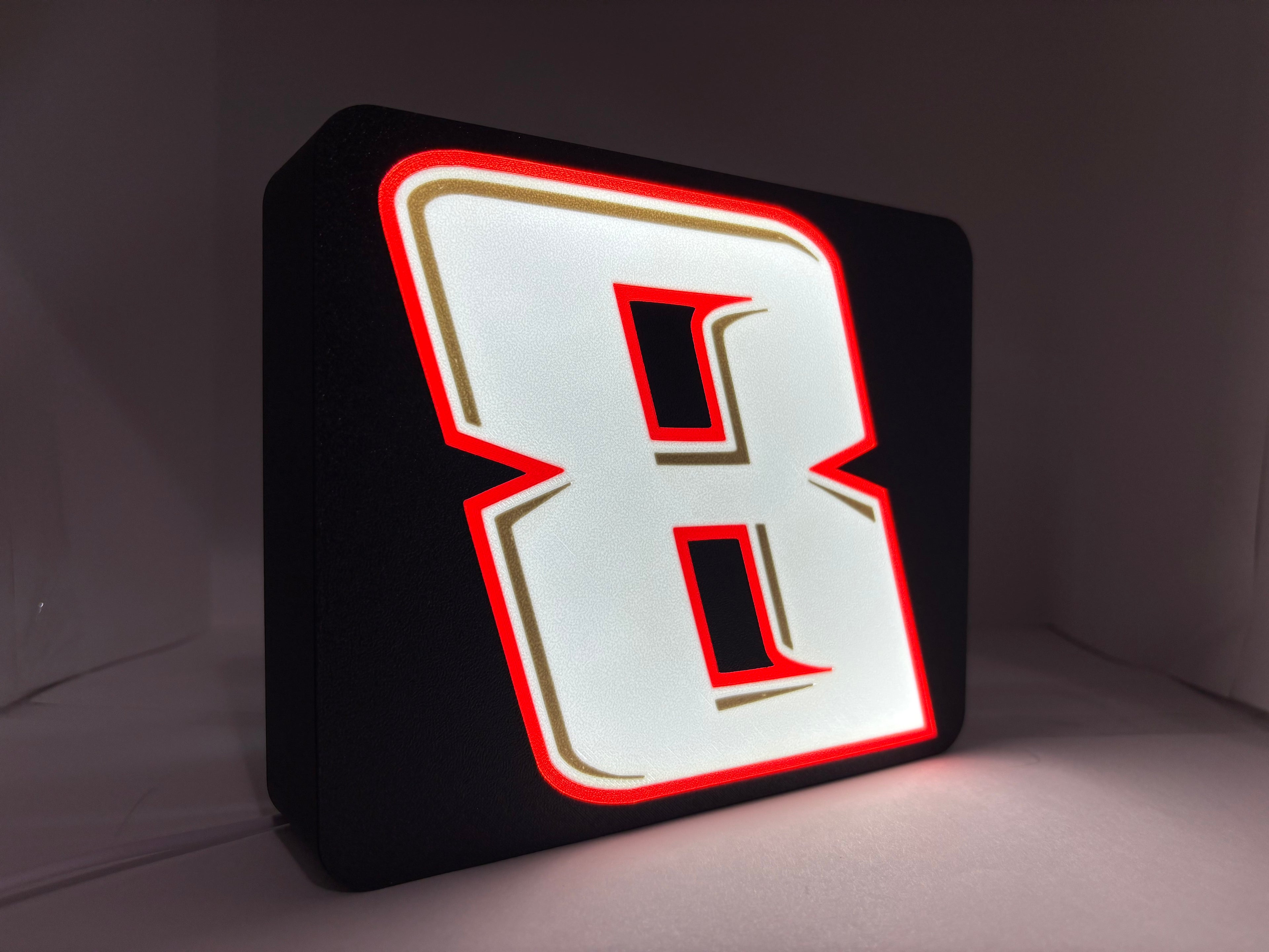 Kyle Busch #8 Inspired Light Box