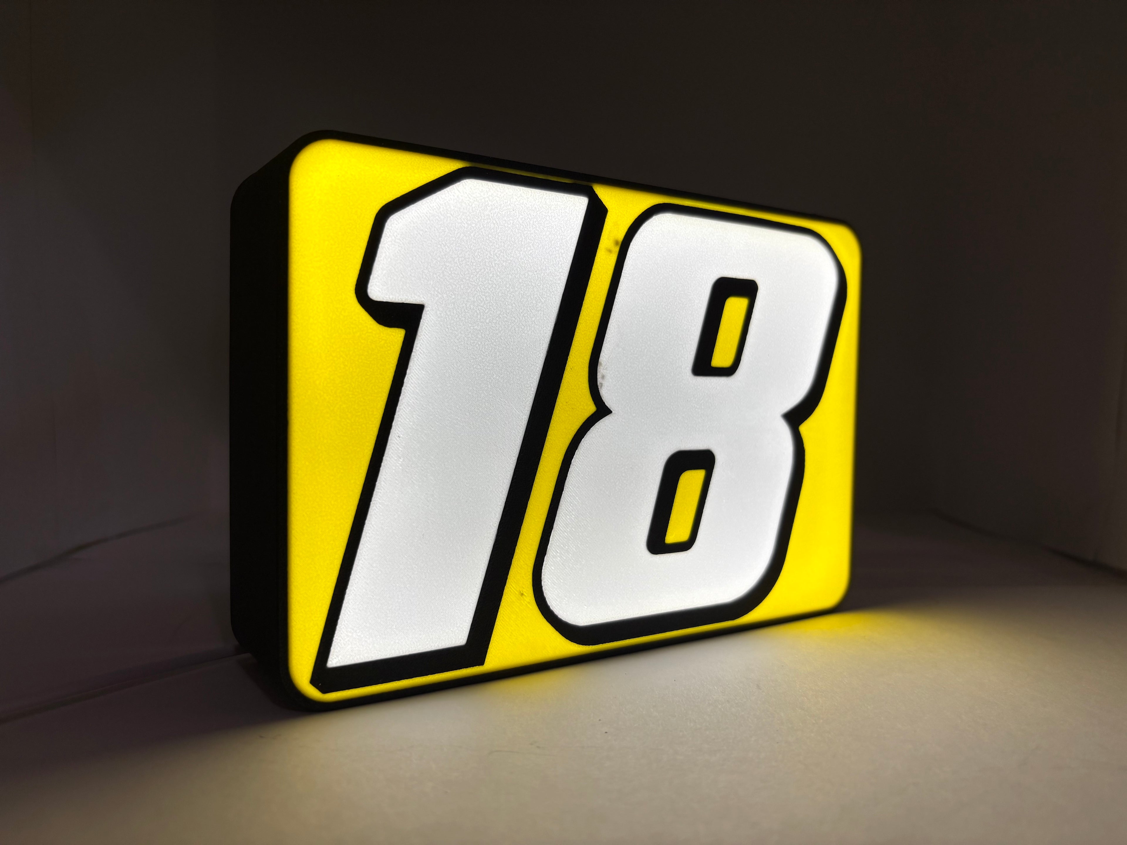 Kyle Busch #18 Inspired Light Box